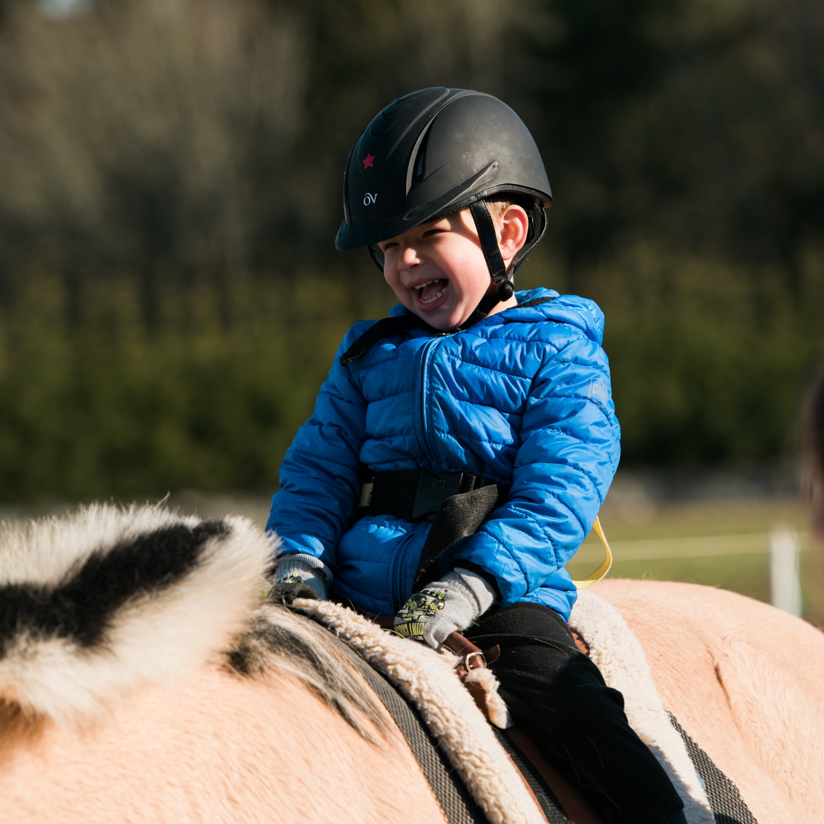 VTRA Hippotherapy Children's Health Foundation