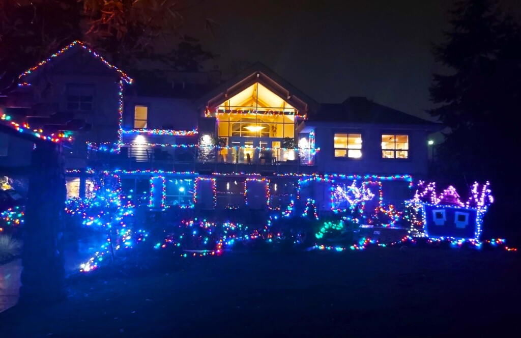 A house at night covered in multicoloured holiday lights.