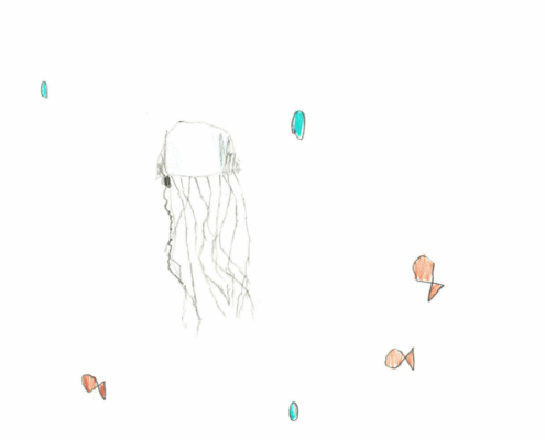 Jelly Fish by Chase Kilmer Jelly Fish by Chase Kilmer