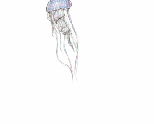 Lilith Cangarder-Szasz - Artwork-1